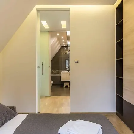 Apartament Srebrny Zakopane Zewnętrze zdjęcie